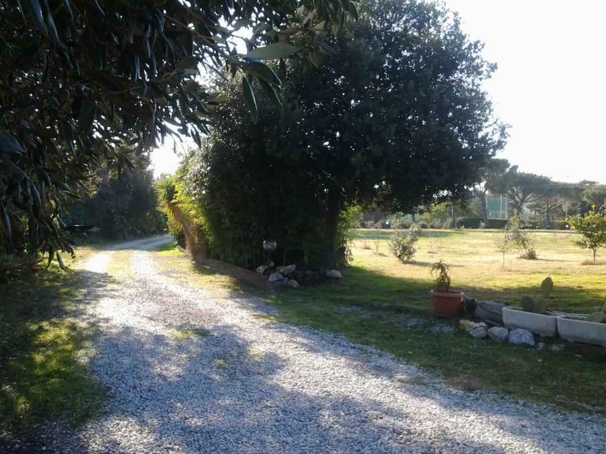 Appartamento In Villa Di Judighes Cerveteri Zewnętrze zdjęcie